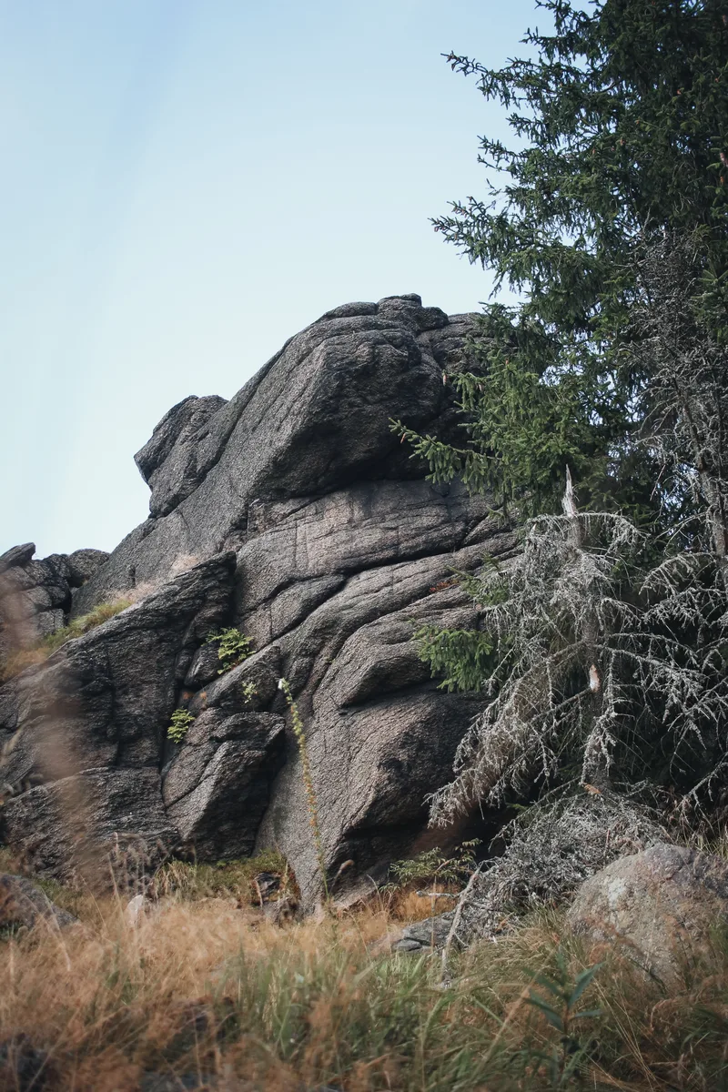 Lesná — pohraničí Krušnohoří, lesní cesta k Medvědí skále