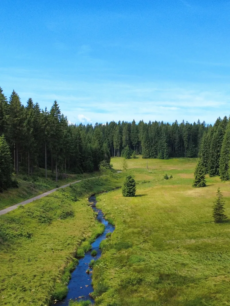Říčka Schwarze Pockau — saské údolí za česko-německou hranicí