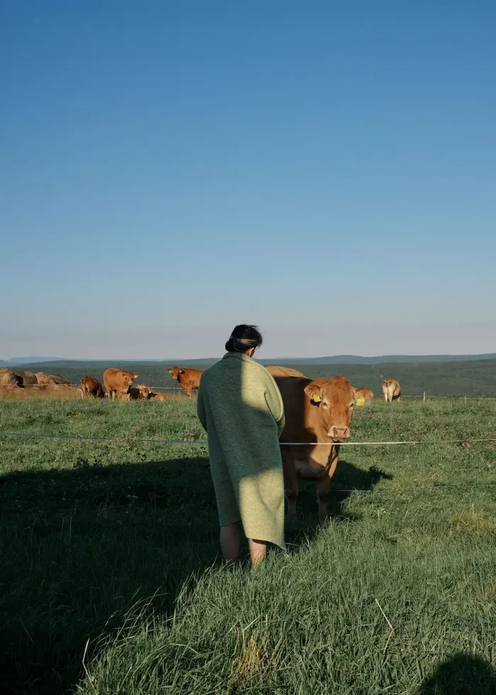 Shower and bathroom details in the glamping tiny house at Na Malém Háji