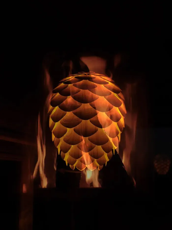 Window view from the glamping tiny house at Na Malém Háji into nature