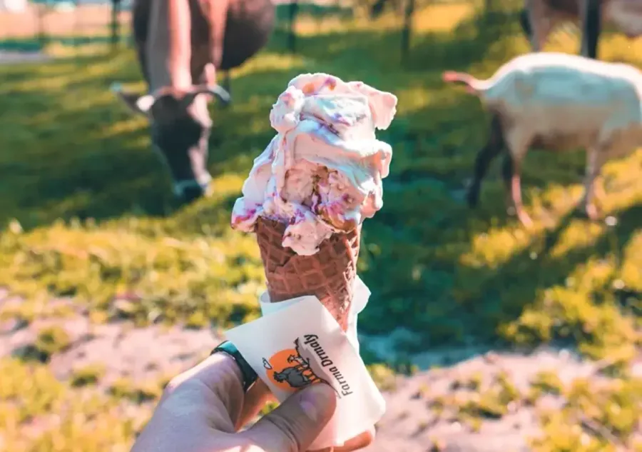 Eisbox Na Malém Háji – hausgemachtes Eis und Sorbets vom Bauernhof Drmaly