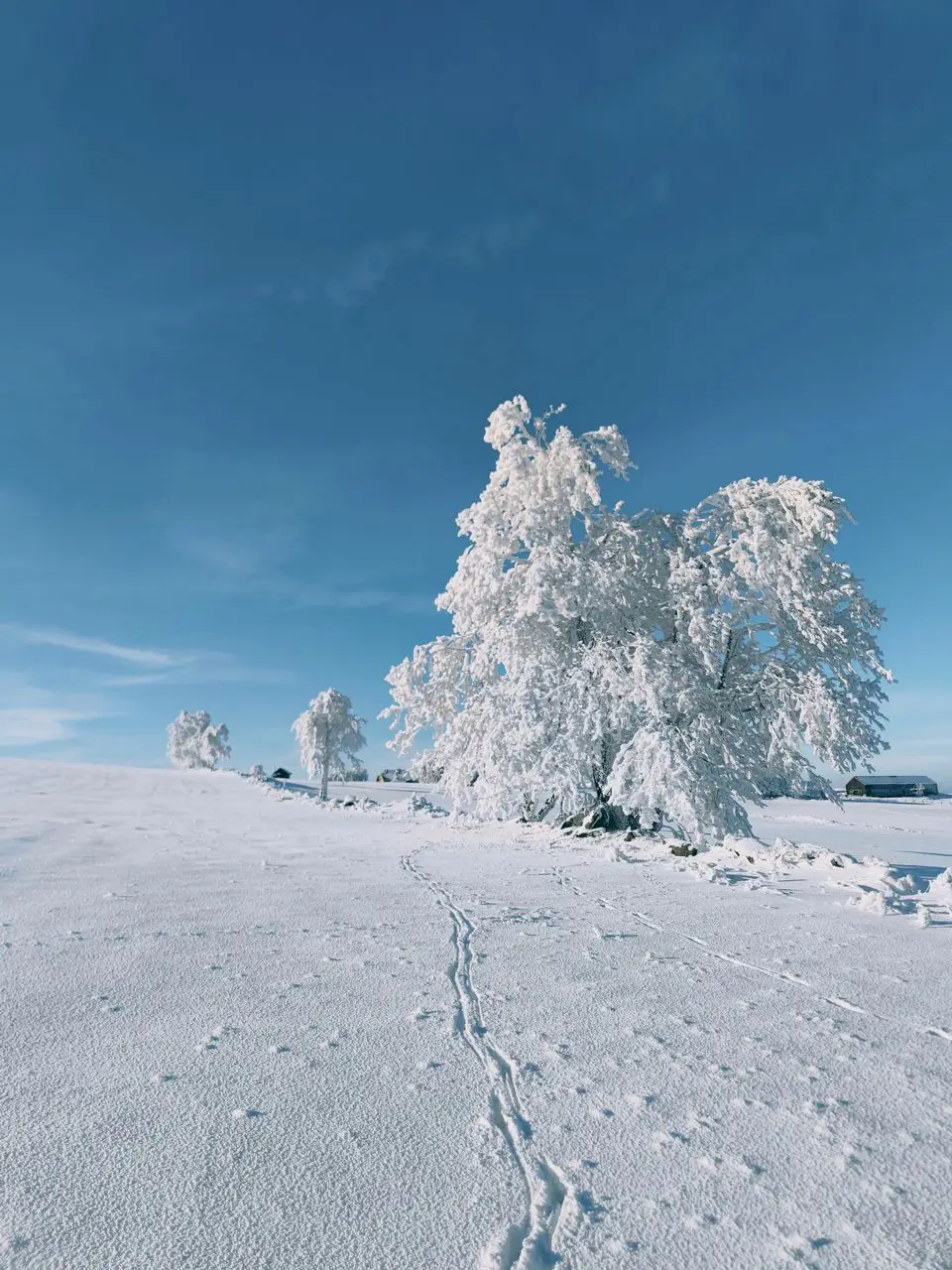View of the snow-covered tiny house glamping Na Malém Háji from the garden