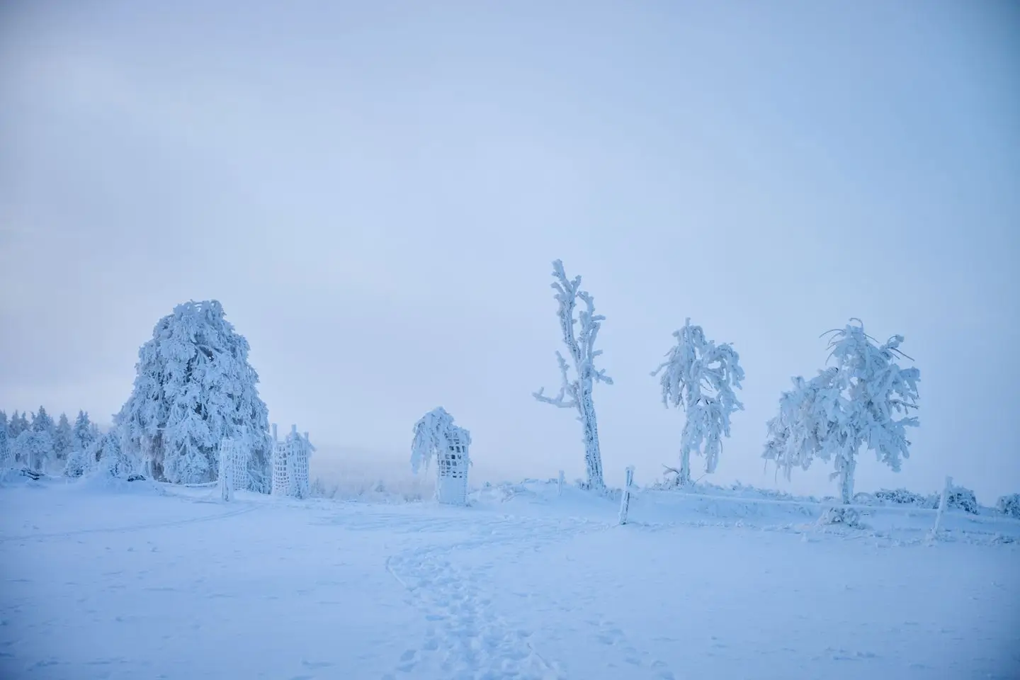 Winter silence – view of the glamping tiny house Na Malém Háji in the Ore Mountains