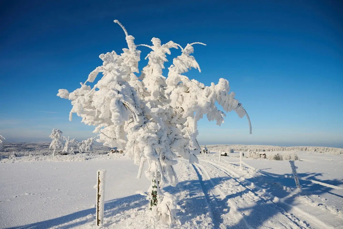 Winter landscape of the Ore Mountains from the perspective of glamping Na Malém Háji
