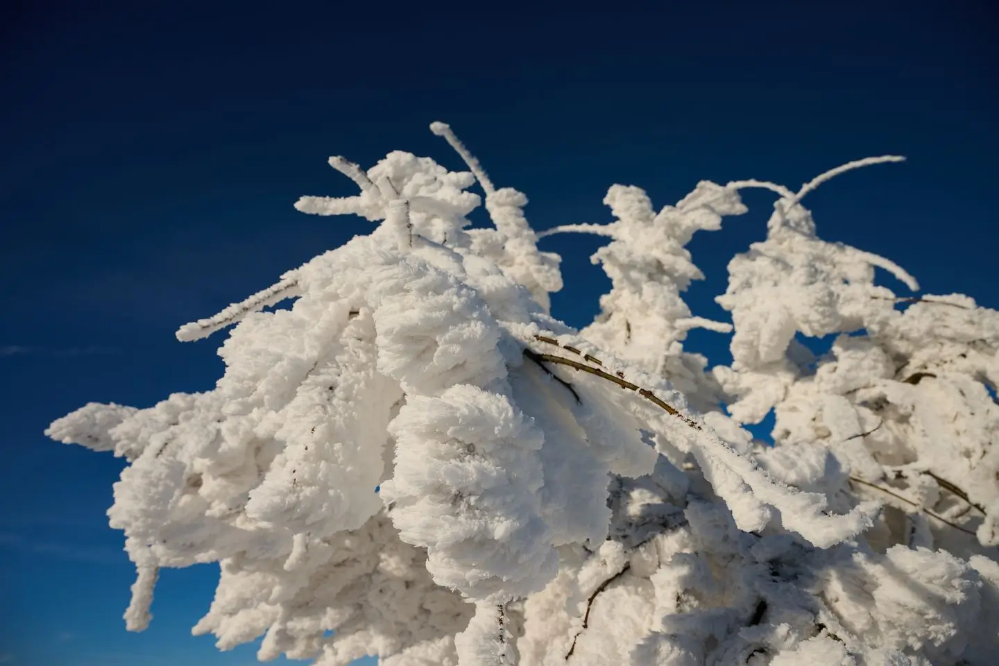 Surroundings of the glamping retreat Na Malém Háji blanketed in snow
