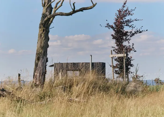 Louka a příroda kolem glamping ubytování Na Malém Háji