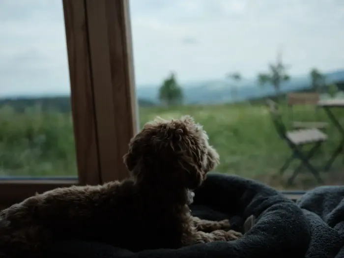 Západ slunce z glamping ubytování Na Malém Háji
