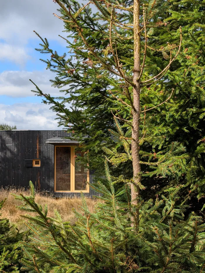 Tiny house U Lesa schovaný za mladým smrkem